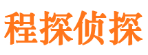 鼎湖调查公司